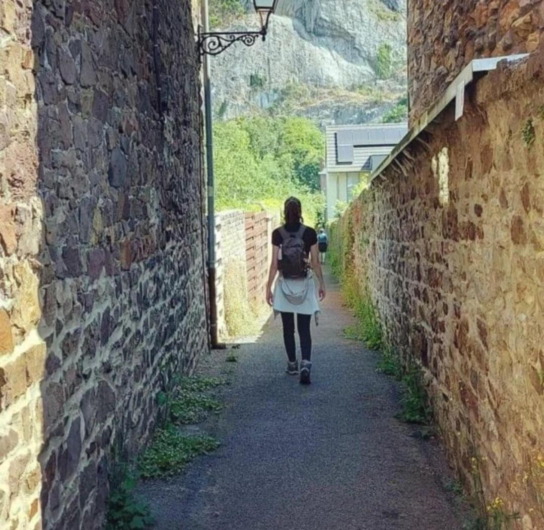 Escale Chambre D'Hotes Au Coeur Du Vieux Profondeville Entre Namur Et Dinant Bagian luar foto