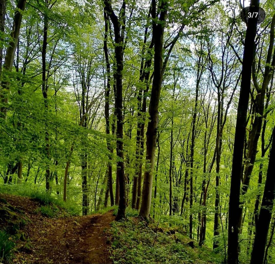 Escale Chambre D'Hotes Au Coeur Du Vieux Profondeville Entre Namur Et Dinant Bagian luar foto